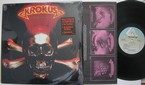 Krokus