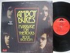 Amboy Dukes(w. booklet)